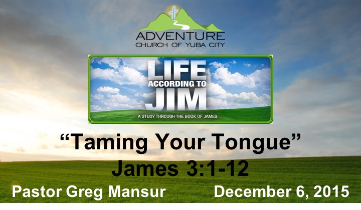 13-Taming Your Tongue